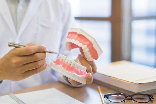 Dentist holding model of teeth and gums at SmileCOS Dentistry